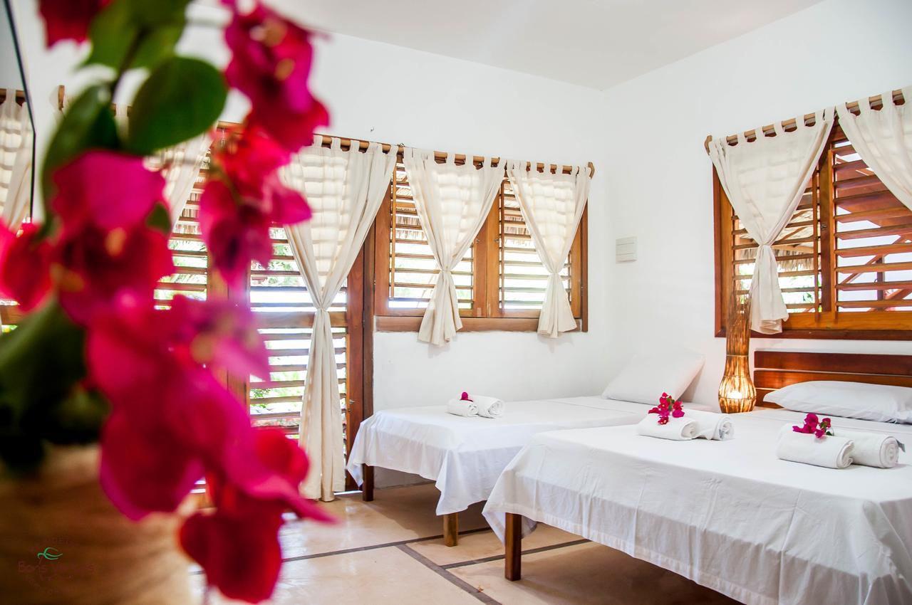 ז'יז'וקה דה ז'ריקואקוארה Residence Bons Ventos Jeri מראה חיצוני תמונה